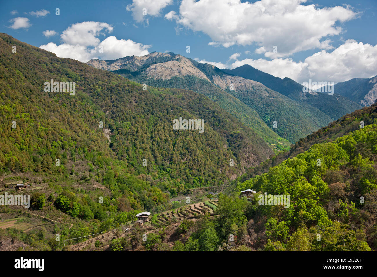 Die malerischen bewaldeten Talhänge Dang Chhu Fluss zwischen Wangdue Phodrang und Nobtling. Stockfoto