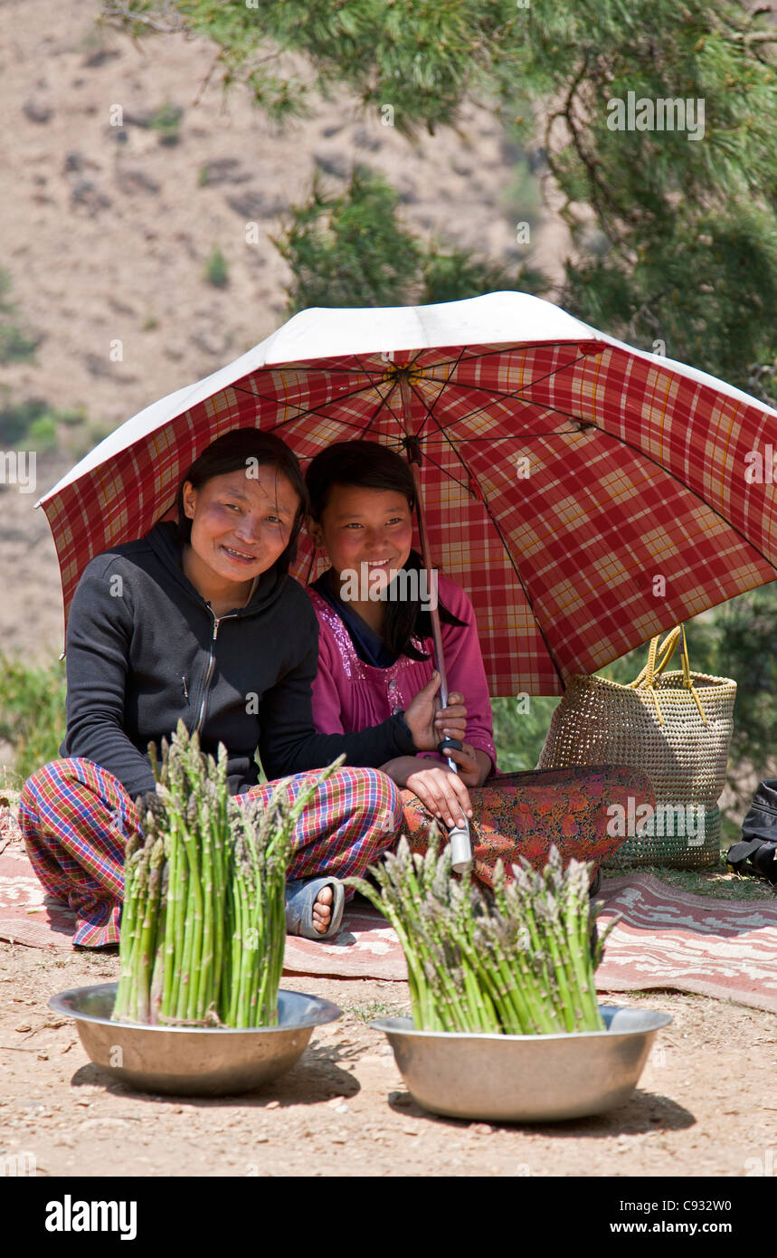 Mädchen verkaufen ausgezeichnete Qualität frischen Spargel am Straßenrand zwischen Thimphu und Paro. Stockfoto