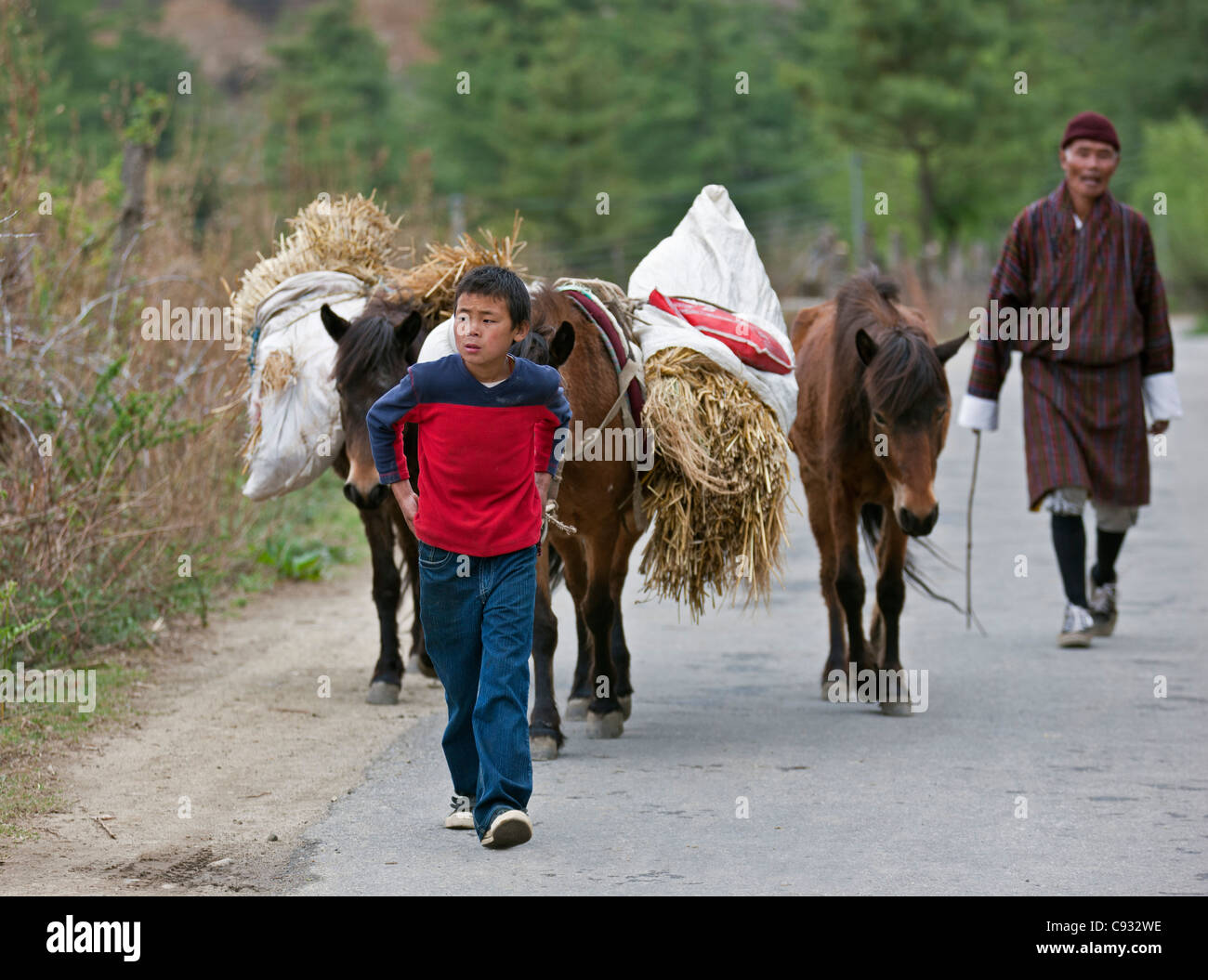 Ein Bauer und sein Sohn zurück von ihrer Farm außerhalb Paro mit Viehfutter auf ihren Maultieren durchgeführt. Stockfoto