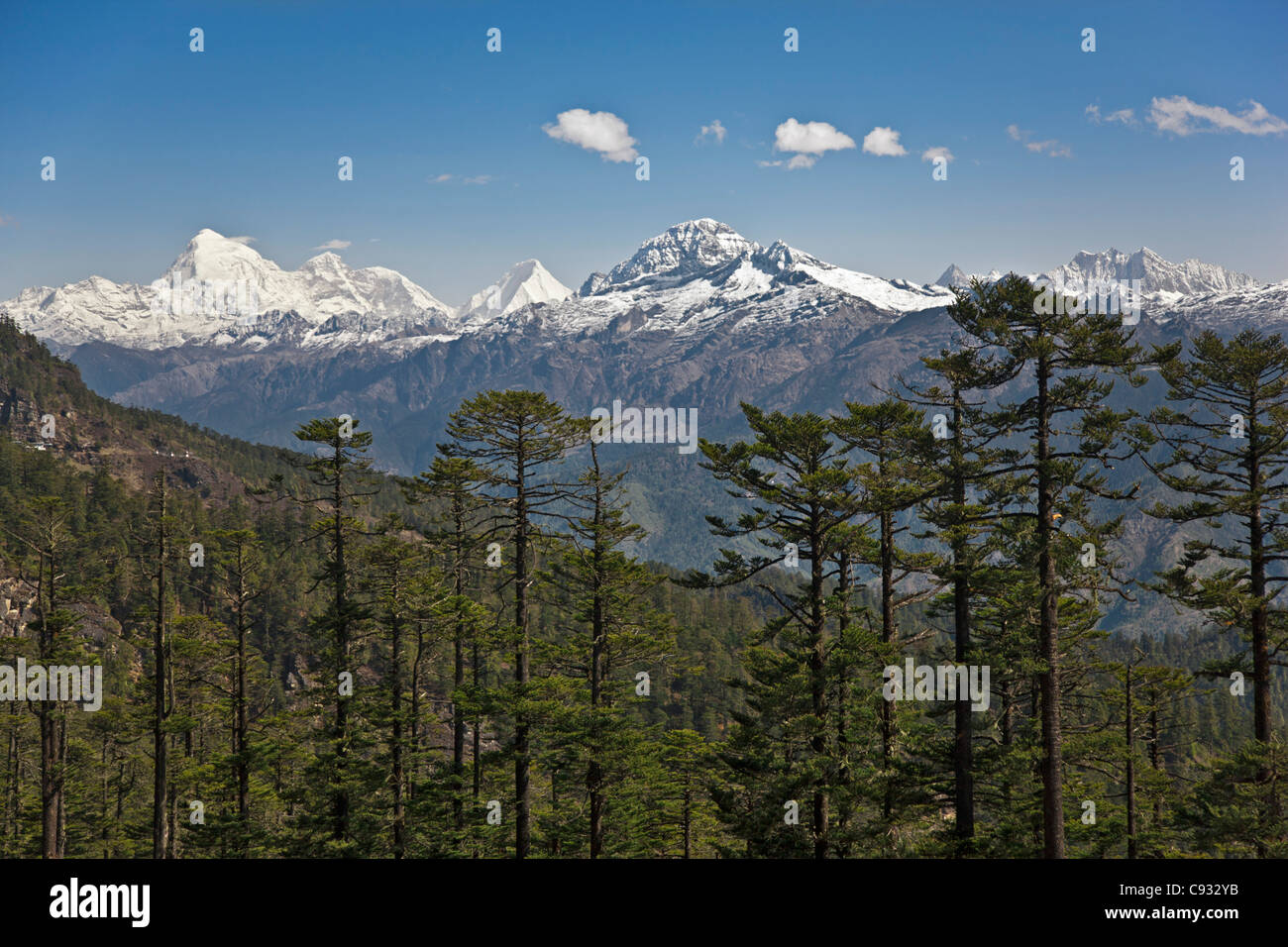 Ein herrlichen Blick auf Schnee bedeckt Berge vom Cheli La Pass, Bhutans höchste befahrbare Straße. Stockfoto