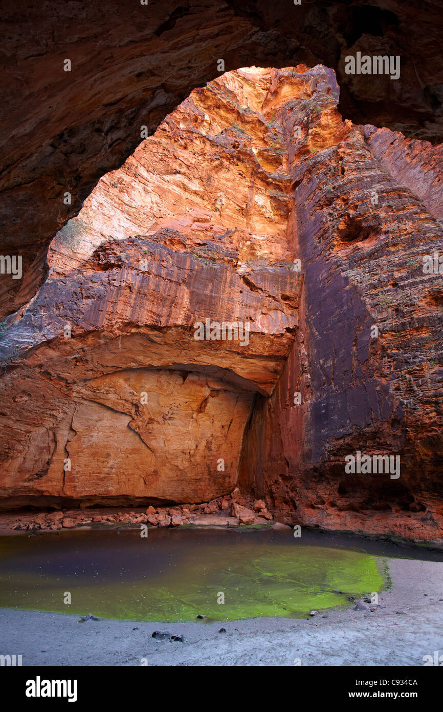 Cathedral Gorge, Bungle Bungles, Purnululu National Park, Kimberley-Region, Western Australia, Australien Stockfoto