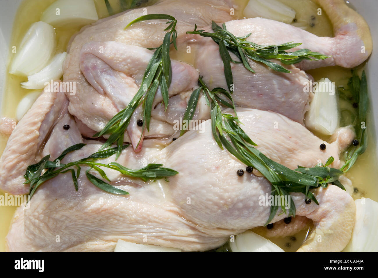 Spatchcock Huhn erwürgt in Olivenöl, Zitronensaft, Weißwein, schwarze Pfefferkörner Zwiebel und Estragon Stockfoto