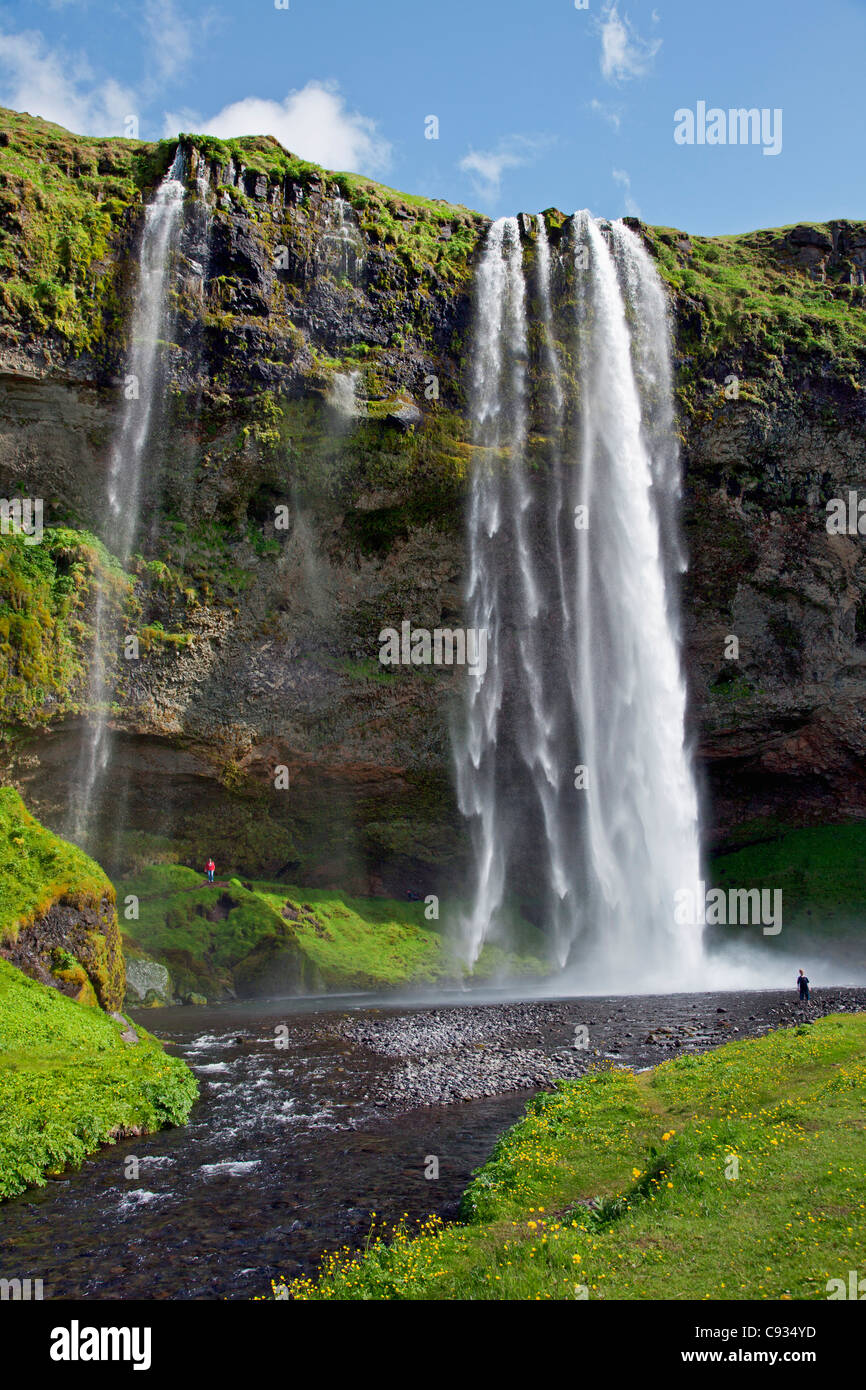 Die malerische 60 Meter hohen Wasserfall Seljalandsfoss. Stockfoto