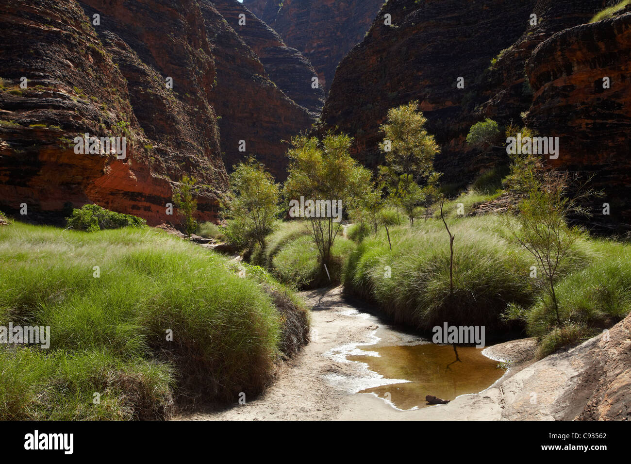 Fahrtrichtung: Cathedral Gorge, Bungle Bungles, Purnululu National Park, Kimberley-Region, Western Australia, Australien Stockfoto