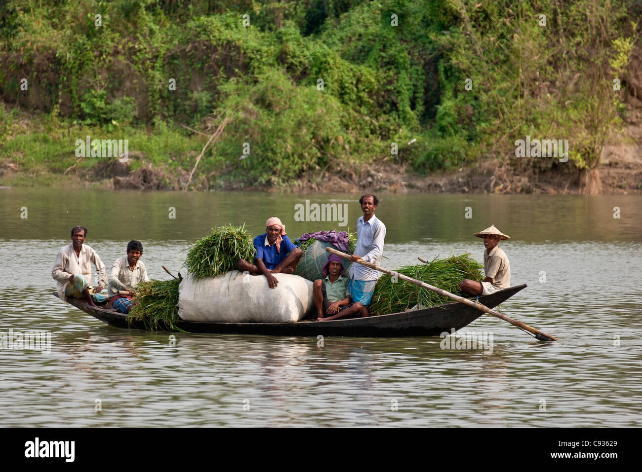 Bauern überqueren Sie den Fluss Hooghly per Boot mit Futter für ihr Vieh. Stockfoto