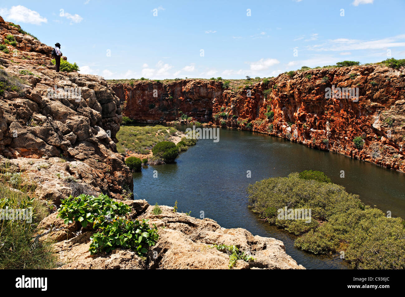 Schlucht-Landschaft am Yardie Creek, Cape Range National Park, Exmouth Westaustralien Stockfoto