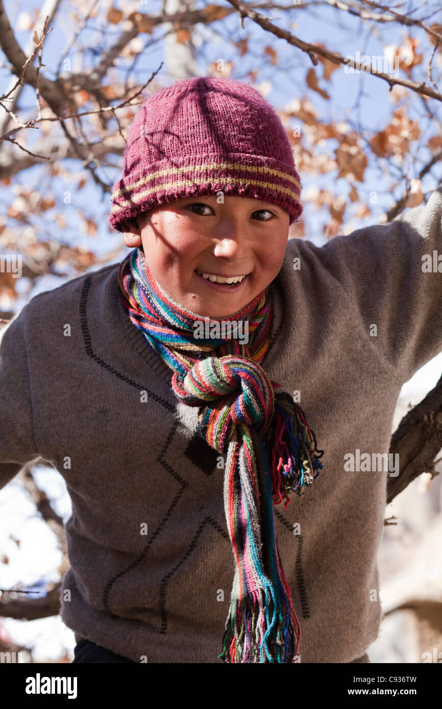 Indien, Ladakh, Nimmu. Young Ladakhi junge spielt in einem Baum. Stockfoto