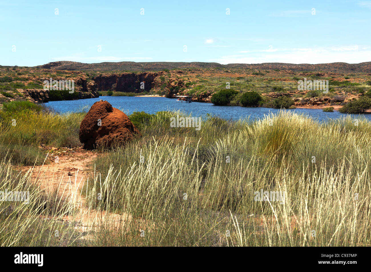 Roten Termite Nest, Yardie Creek, Cape Range National Park, Exmouth-Western Australien Stockfoto