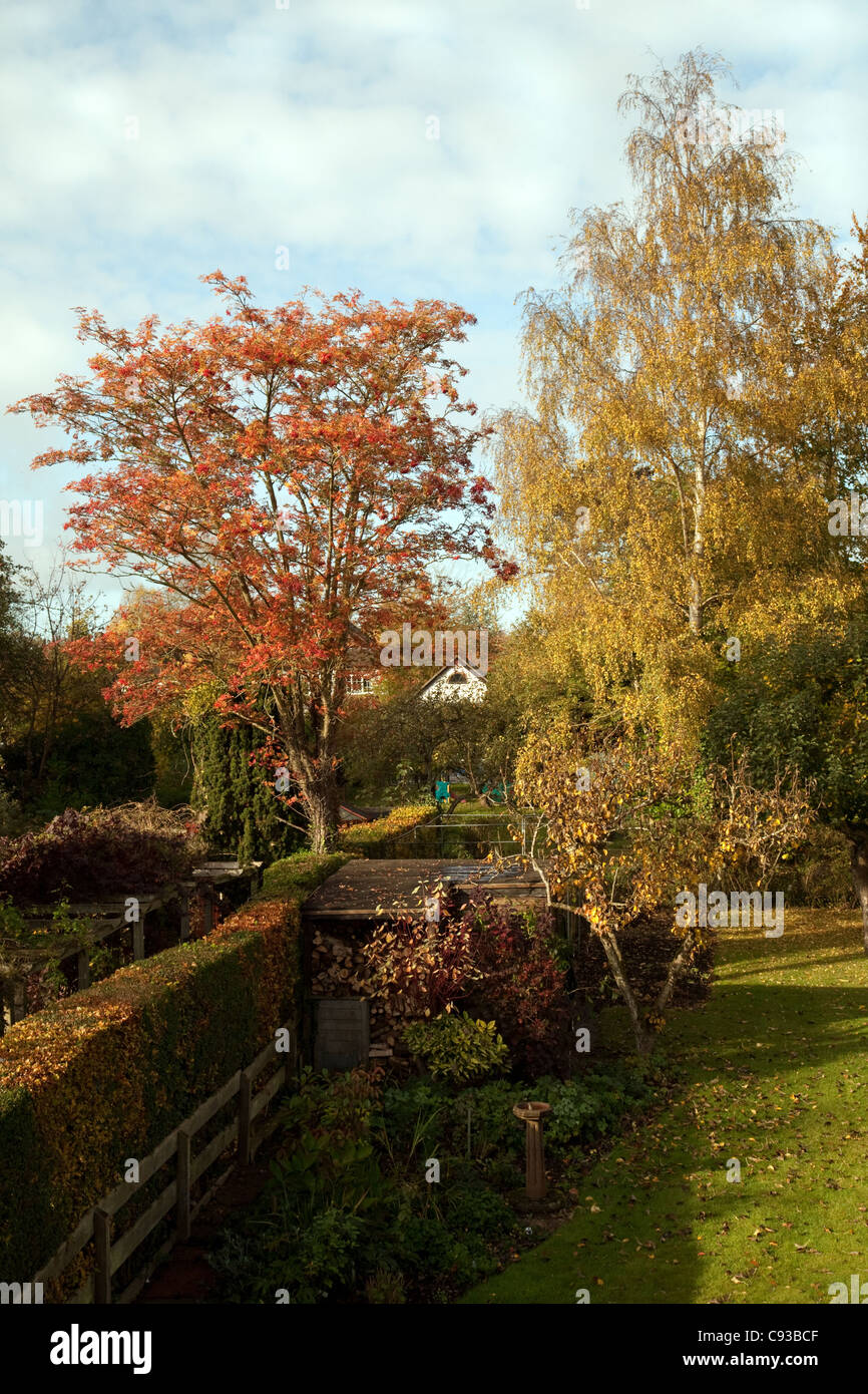 Britische Hausgärten im Herbst, Wallingford, Oxfordshire UK Stockfoto