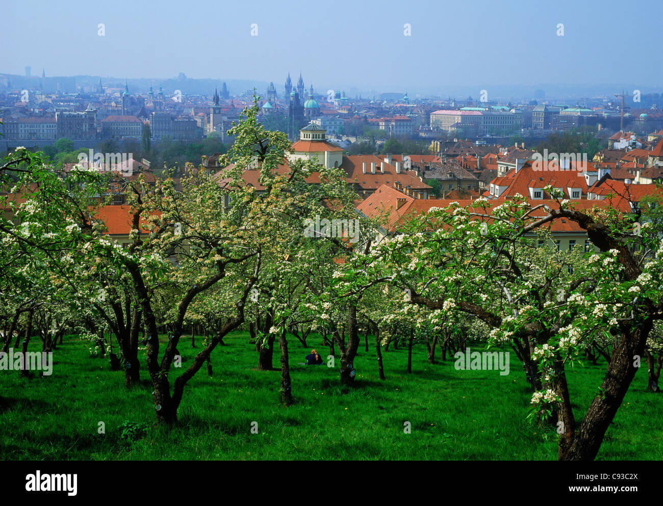 Bäume in Blüte in Petrin Park über Prag im Frühling und Sommer Stockfoto