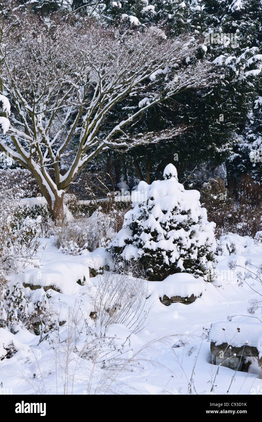 Snowy beständigen Garten Stockfoto