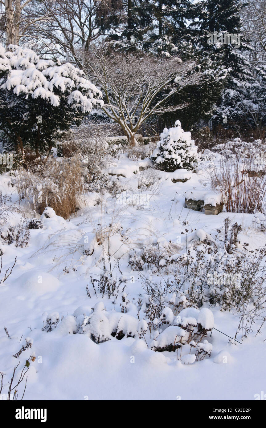 Snowy beständigen Garten Stockfoto