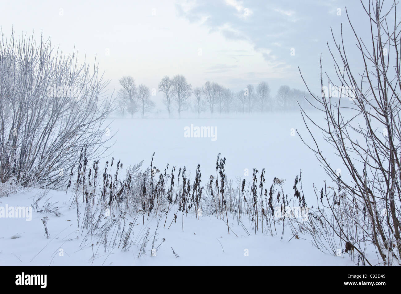 Winterlandschaft in der Dämmerung Stockfoto