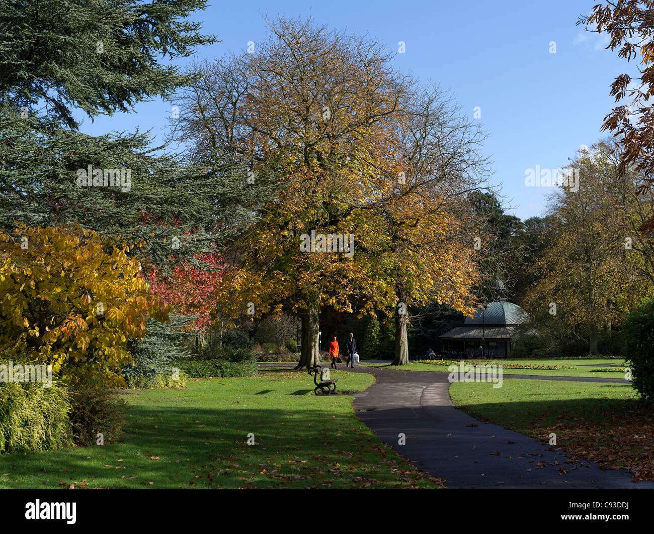 dh Valley Gardens HARROGATE NORTH YORKSHIRE Menschen wandern durch herbstliche Parklandschaften UK Path Park Walk Stockfoto