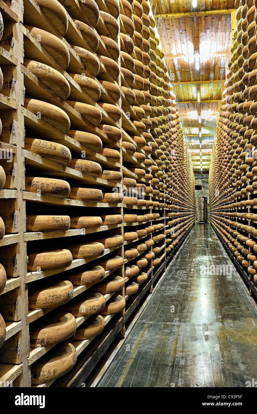Comté Verfeinerung Keller in Fort Saint Antoine, Jura, Frankreich. Stockfoto