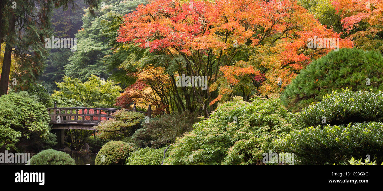 Hölzerne Fußgängerbrücke am japanischen Garten im Herbst-Panorama Stockfoto
