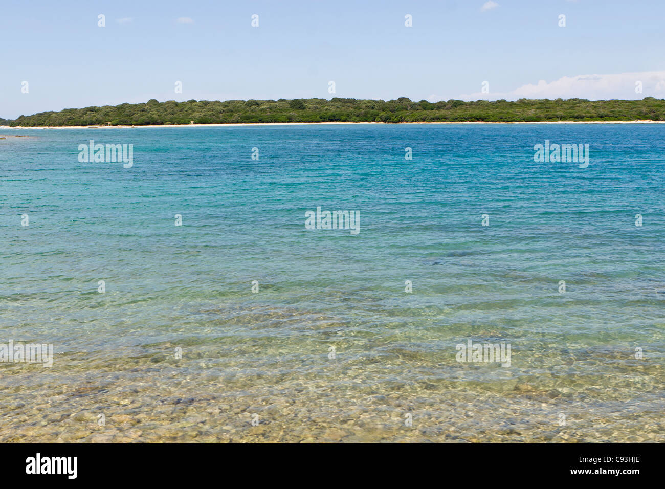 Blaues Wasser an einem Strand in Brijuni, Kroatien Stockfoto