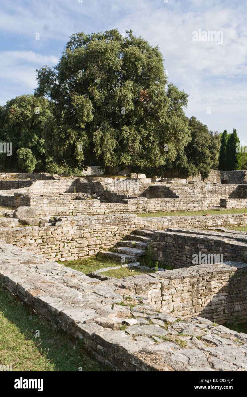 Ruinen einer byzantinischen Kolonie auf Brijuni, Istrien, Kroatien Stockfoto