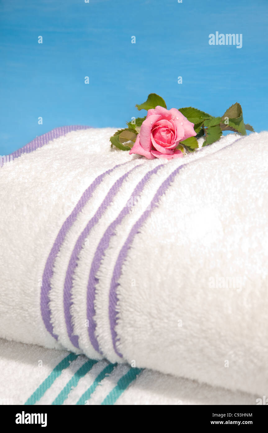 Saubere Handtücher bereit zu bedienen, mit einem schönen rosa rose Stockfoto