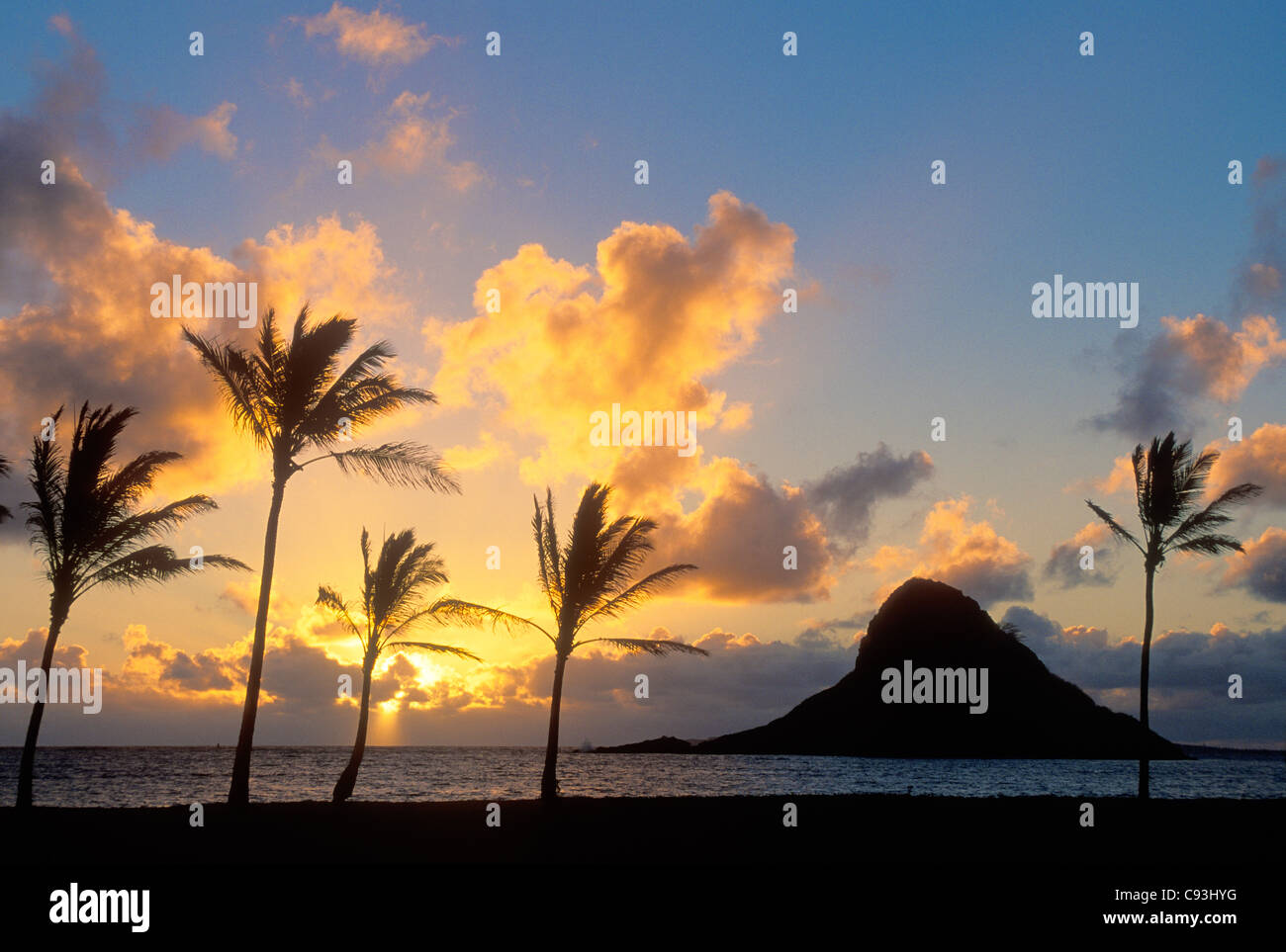 Sunrise und Mokoli'i Island (früher bekannt als veralteter Begriff „Chinaman's hat“) mit Kokospalmen; Kualoa County Beach Park, Windward Oahu, Hawaii. Stockfoto