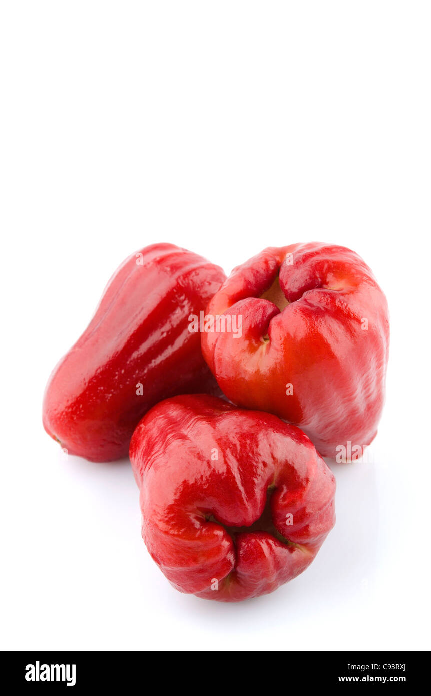 Thai Früchte der Rose Äpfel oder Chomphu auf weißem Hintergrund Stockfoto