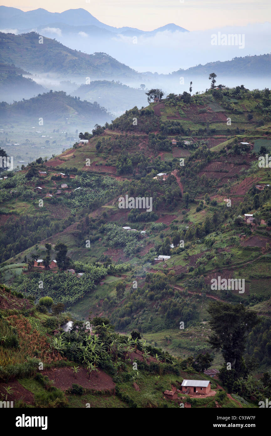 Am frühen Morgen im ländlichen Südwesten Ugandas, in der Nähe von Kisoro. 2891/2009. Foto: Stuart Boulton/Alamy Stockfoto