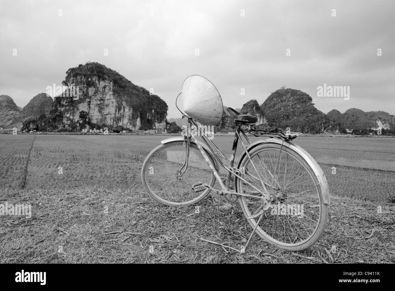 Asien, Vietnam, Ninh Binh, in der Nähe von Hoa Lu. Fahrrad und Reis-Feld in die Strandidylle Landschaft der Halong Bucht an Land. Stockfoto