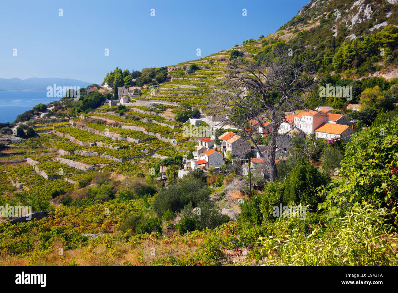 Peljesac Kroatien, Podobuce Dorf Stockfoto