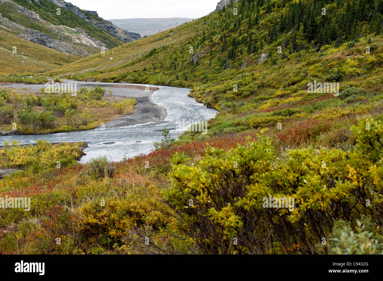 Savage River am Denali Nationalpark Alaska USA Stockfoto