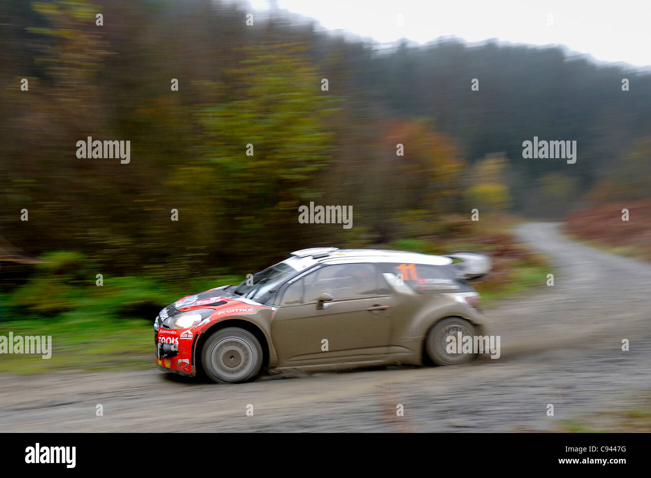 11.11.2011 Gwynedd, Wales. Petter Solberg (NOR) und Co-Pilot Chris Patterson (GBR) in #11 Petter Solberg WRT Citroen DS3 WRC in Aktion beim ersten Durchgang der Dyfnant Bühne (SS7) Tag2 der FIA WRC Wales Rallye GB. Obligatorische Kredit: ActionPlus Stockfoto