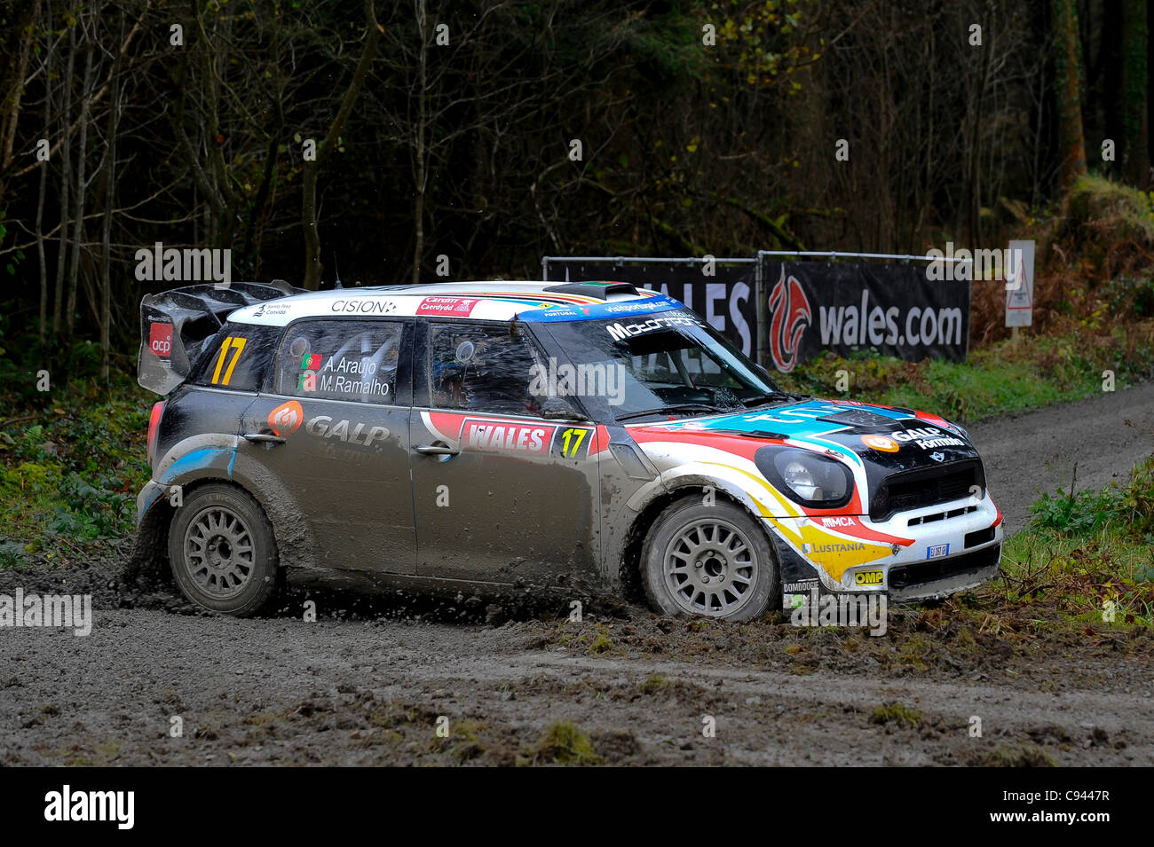 11.11.2011 Gwynedd, Wales. Armindo Araújo (PRT) und Co-Pilot Miguel Ramalho (PRT) in #17 funktioniert Motorsport Italia MINI John Cooper in Aktion beim ersten Durchgang der Dyfnant Bühne (SS7) Tag2 der FIA WRC Wales Rallye GB. Obligatorische Kredit: ActionPlus Stockfoto