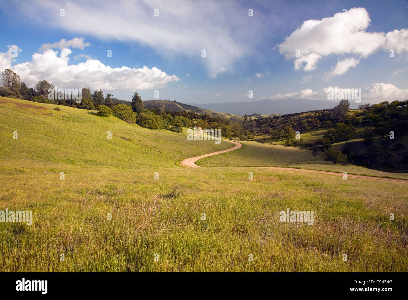 Kalifornien - Forststraße auf Figueroa Mountain im Los Padres National Forest. Stockfoto