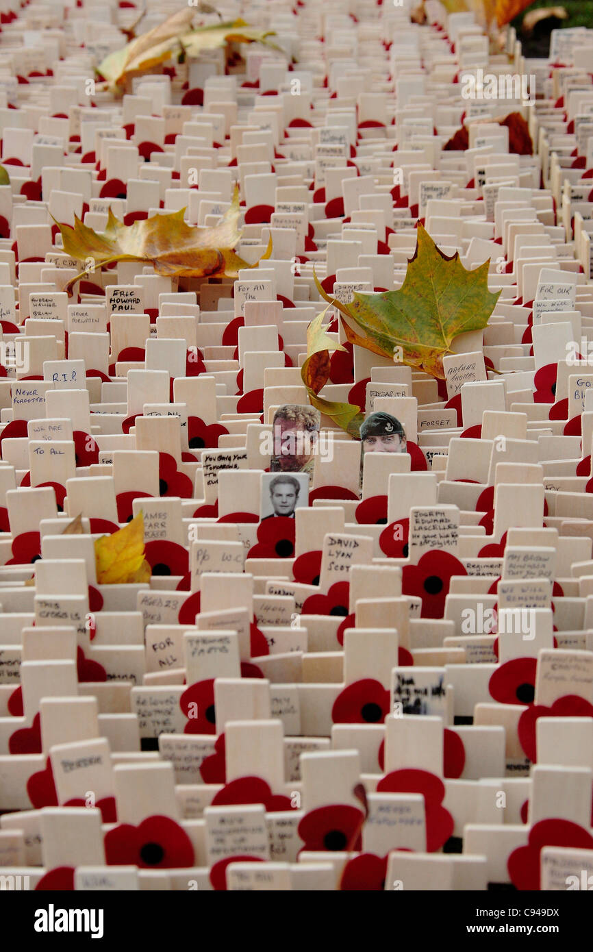 Tribute t der gefallenen im Bereich des Gedenkens in der Westminster Abbey Stockfoto