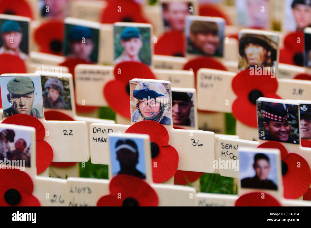 Holzkreuze mit Mohn und Fotos zur Erinnerung an die Soldatinnen und Soldaten in der Tätigkeit getötet. Stockfoto