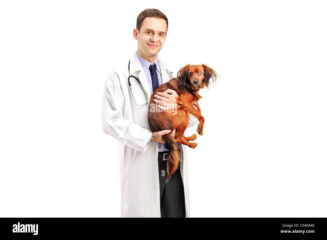 Ein Lächeln auf den Lippen Tierarzt hält einen Welpen Stockfoto