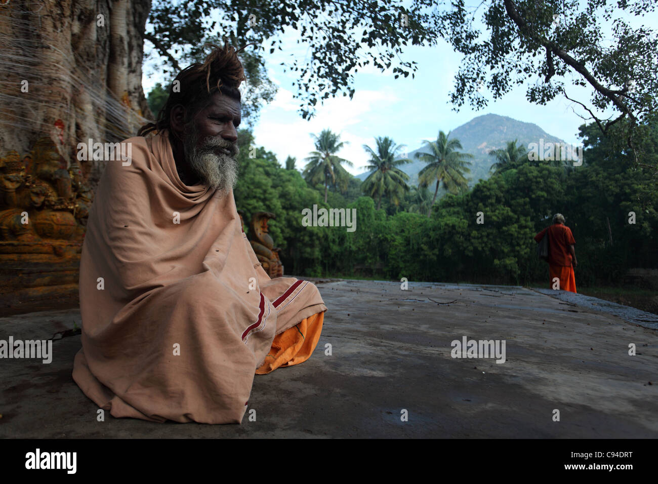 Sadhu sitting at a holy tree with statues of Hindu gods Tamil Nadu India Stockfoto