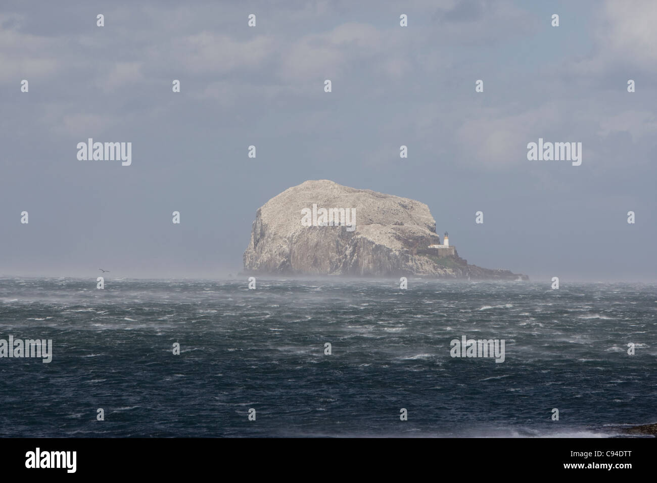 Ein starker westlicher Wind peitscht die Nordsee rund um den Bass Rock mit einigen ungewöhnlichen Lichtverhältnissen. Stockfoto