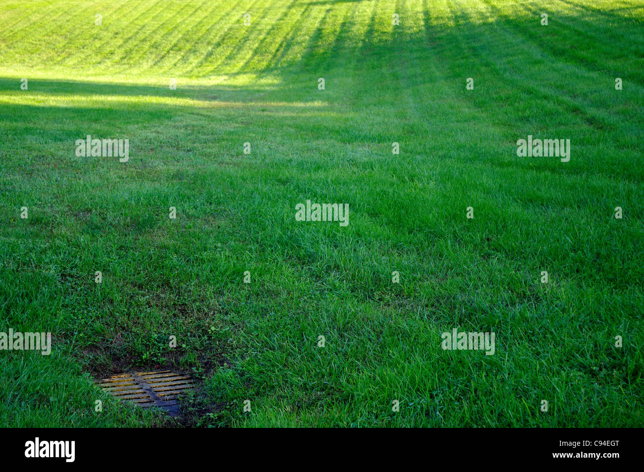 Gully im Schatten sonnig, hügelig, Gras, gemähten Feld unten Stockfoto