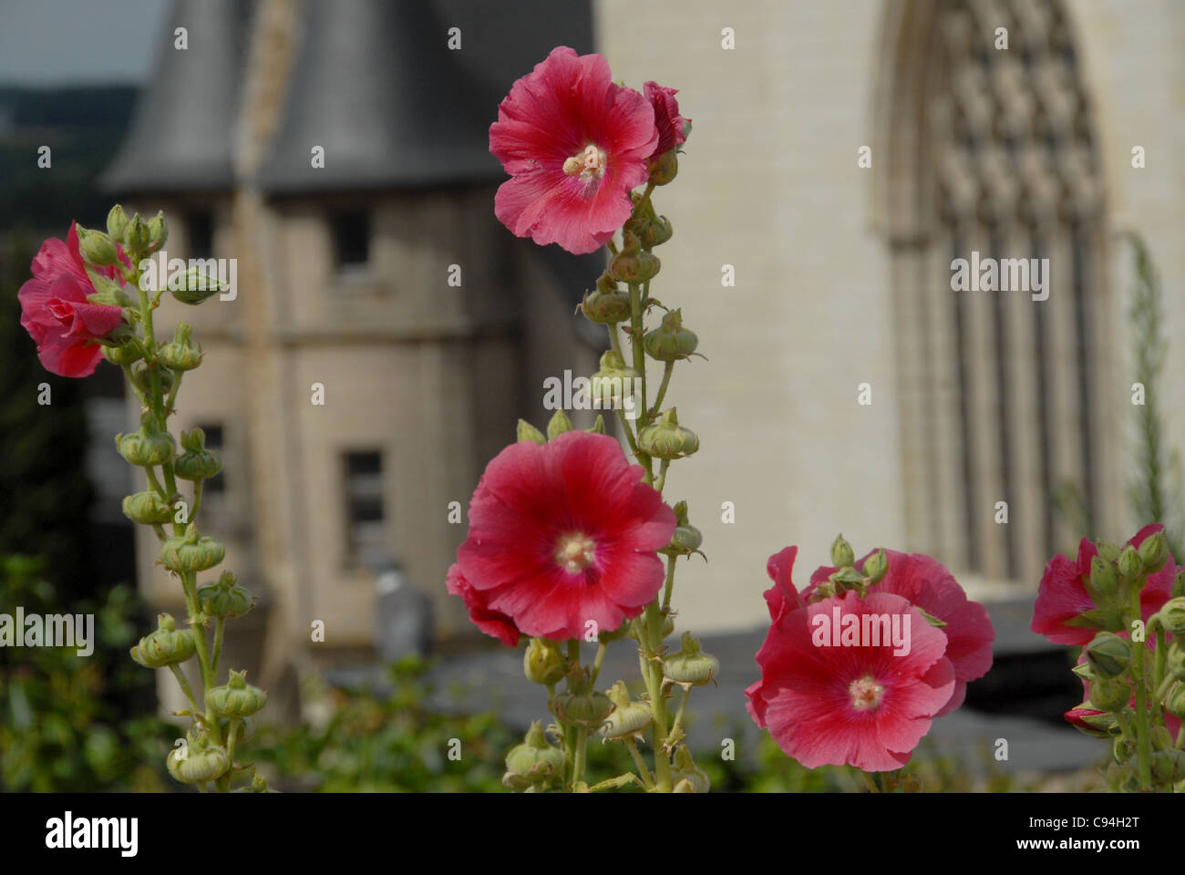 Château du Roi René, Schloss von König René, in Angers an der Loire im Département Maine-et-Loire in Frankreich Stockfoto