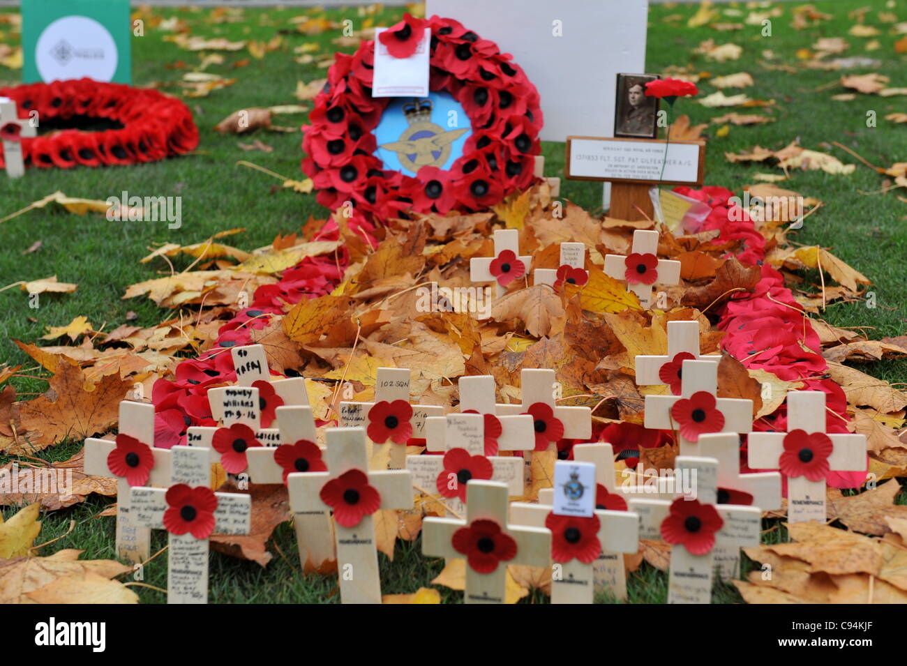 Ein Denkmal für die gefallenen Soldaten in Glasgows Garden of Remembrance, im Gedenken an den Tag des Waffenstillstands. Stockfoto