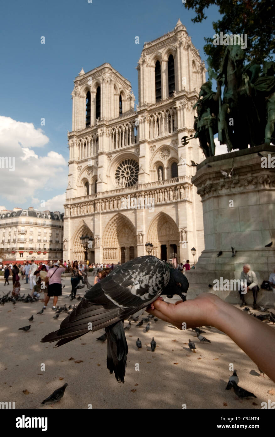 Kathedrale Notre Dame, Paris, Frankreich, Europa Stockfoto