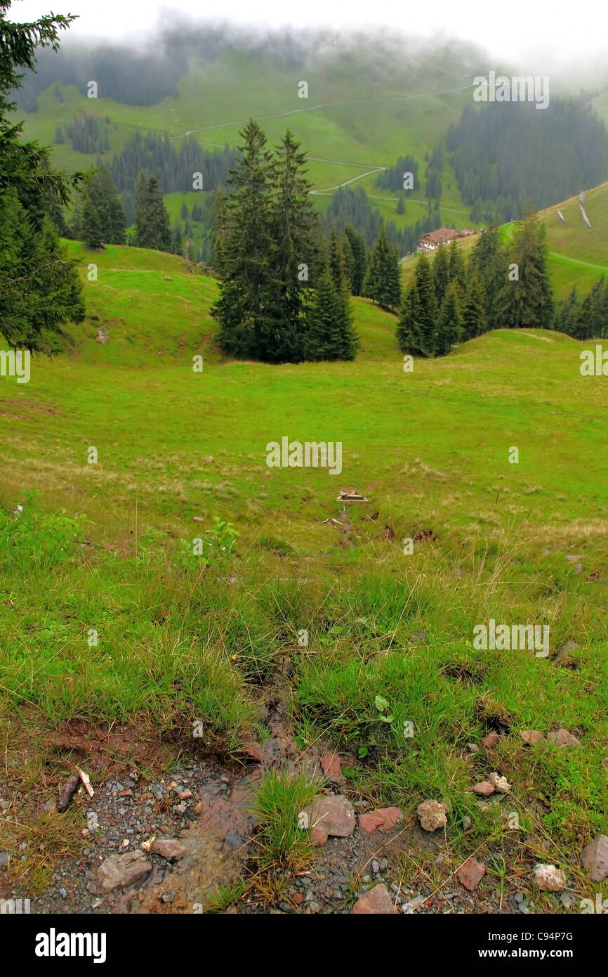 Europäische Alpen Stockfoto