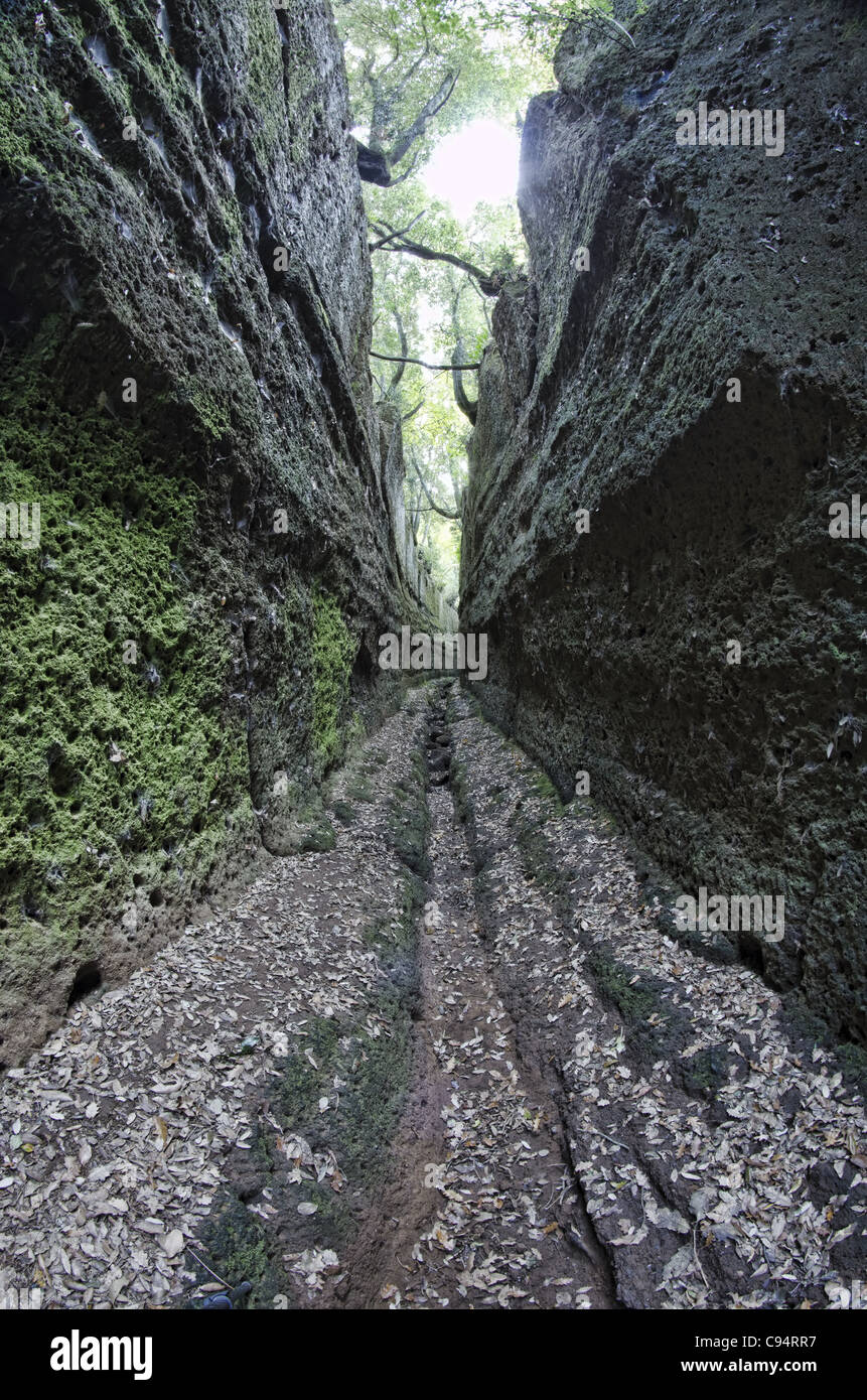 Cava Buia oder "Dunklen Höhle", suggestive "etruskischen Cut'. Norchia, Mittelitalien. Stockfoto