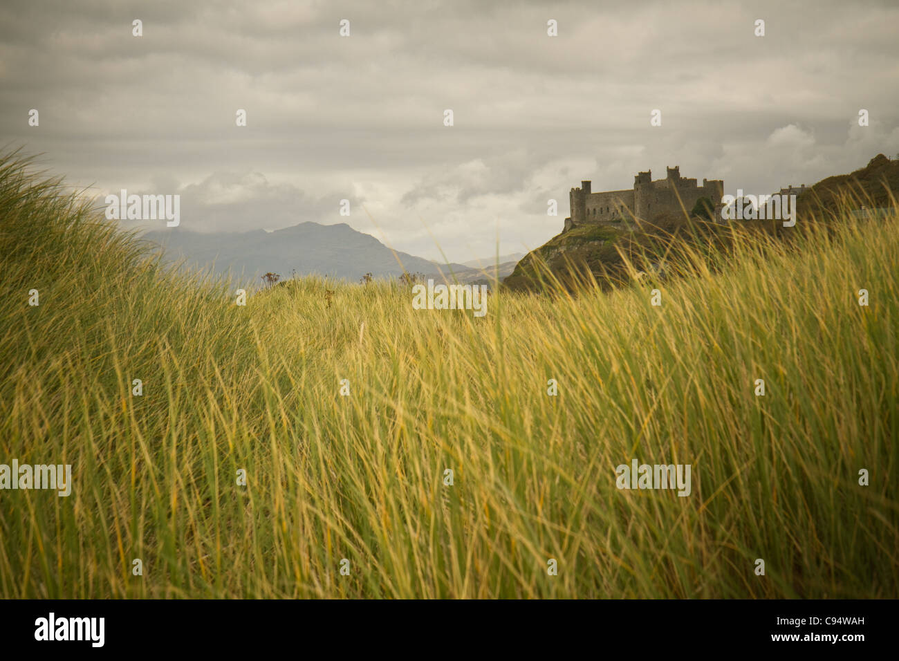 Ansicht von Harlech Castle mit kleinen modernen Lebens zeigen Stockfoto