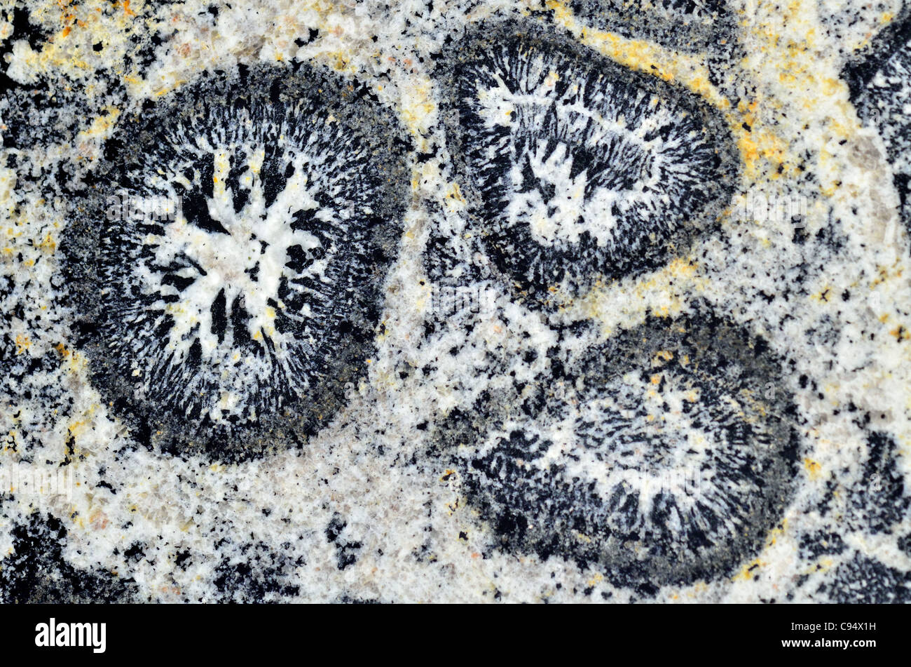 Polierte Oberfläche des endständigen Granit aus Australien. Stockfoto