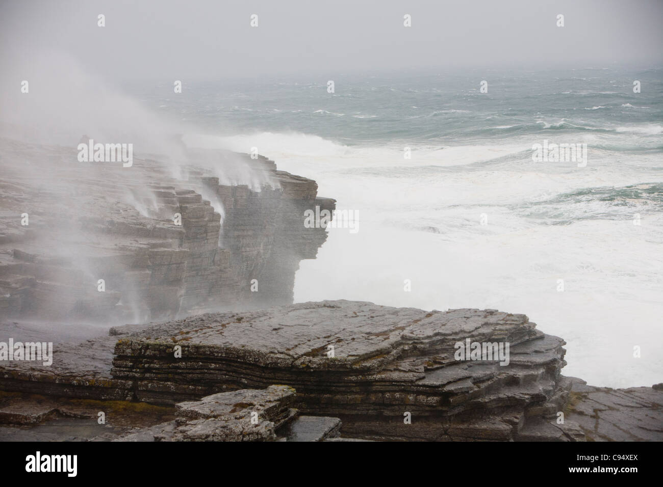 Sturm, Wellen, die über 80 Fuß Klippen am Deerness auf Orkney Mainland, Schottland, UK angetrieben. Stockfoto