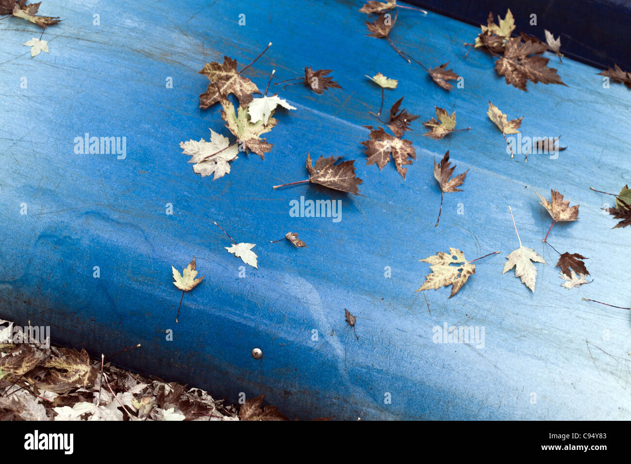 Bunte blau Kanu mit Blättern gestapelt auf einem Gestell Verwendung warten. Stockfoto