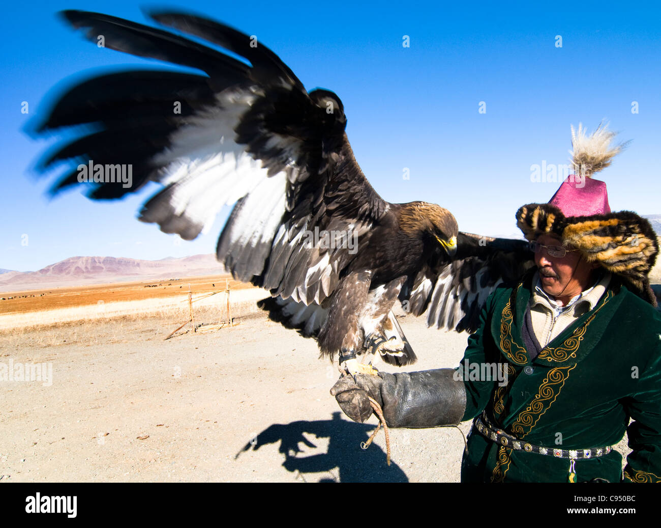 Altai kazakh adlerfest -Fotos und -Bildmaterial in hoher Auflösung – Alamy