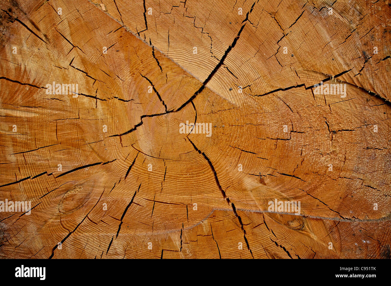 Risse In Holz Stockfotos und -bilder Kaufen - Alamy