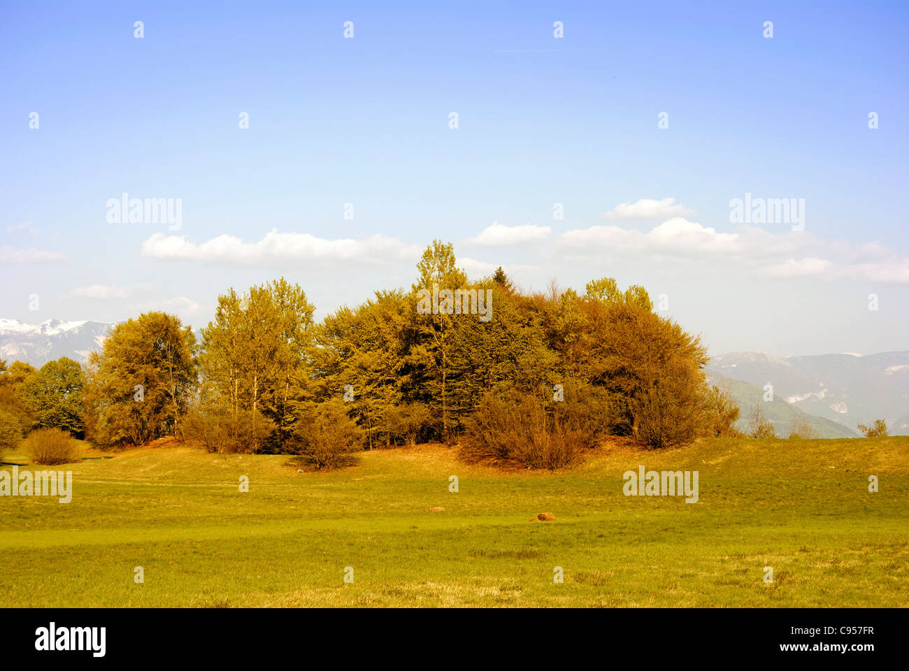 Berge von grünen Pinienwäldern, im Trentino. Italien Stockfoto